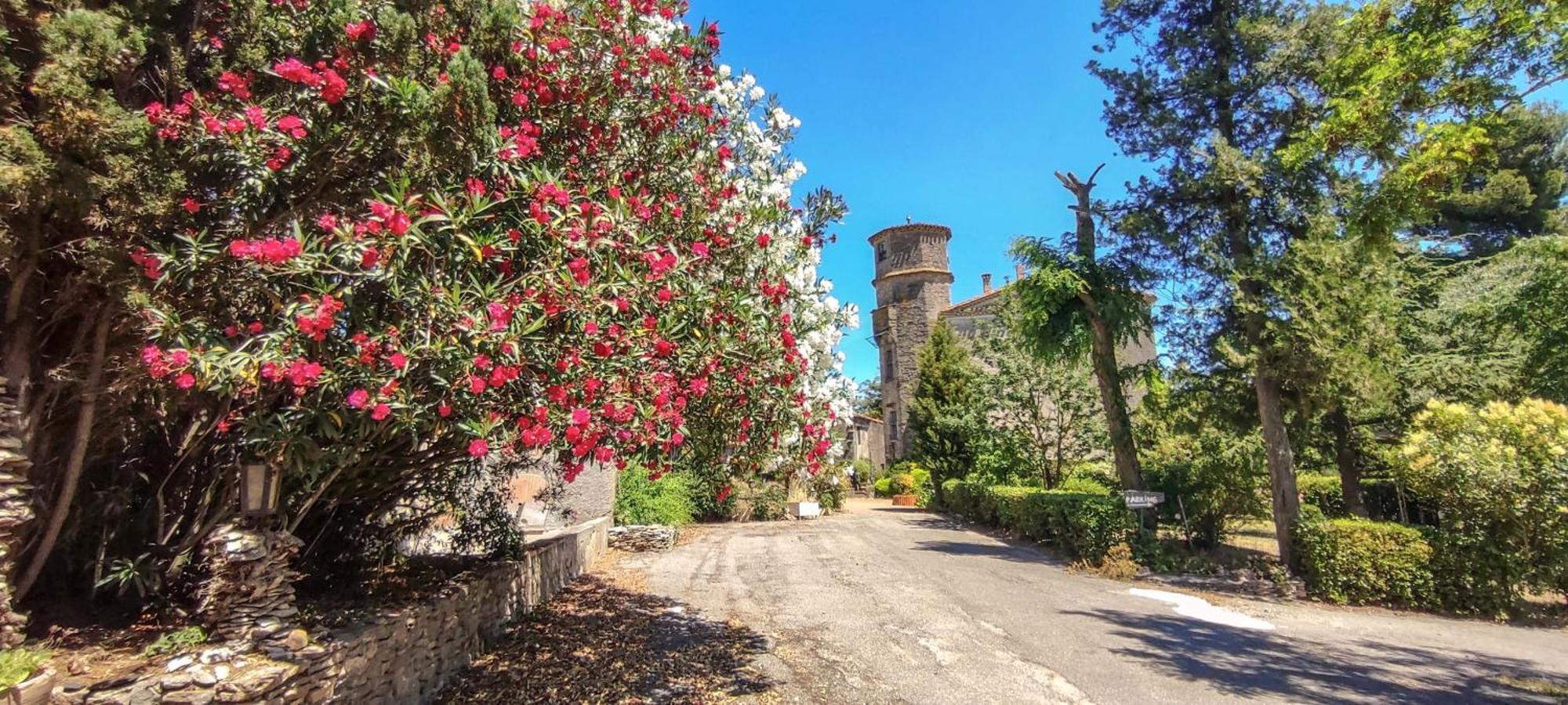 Chateau Saint-Martin Каркассонн Екстер'єр фото